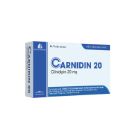 CARNIDIN 20